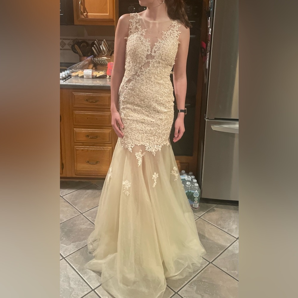Beautiful Nude Mermaid Style Gown